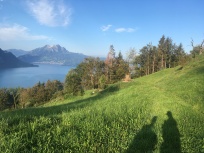 view towards the lake